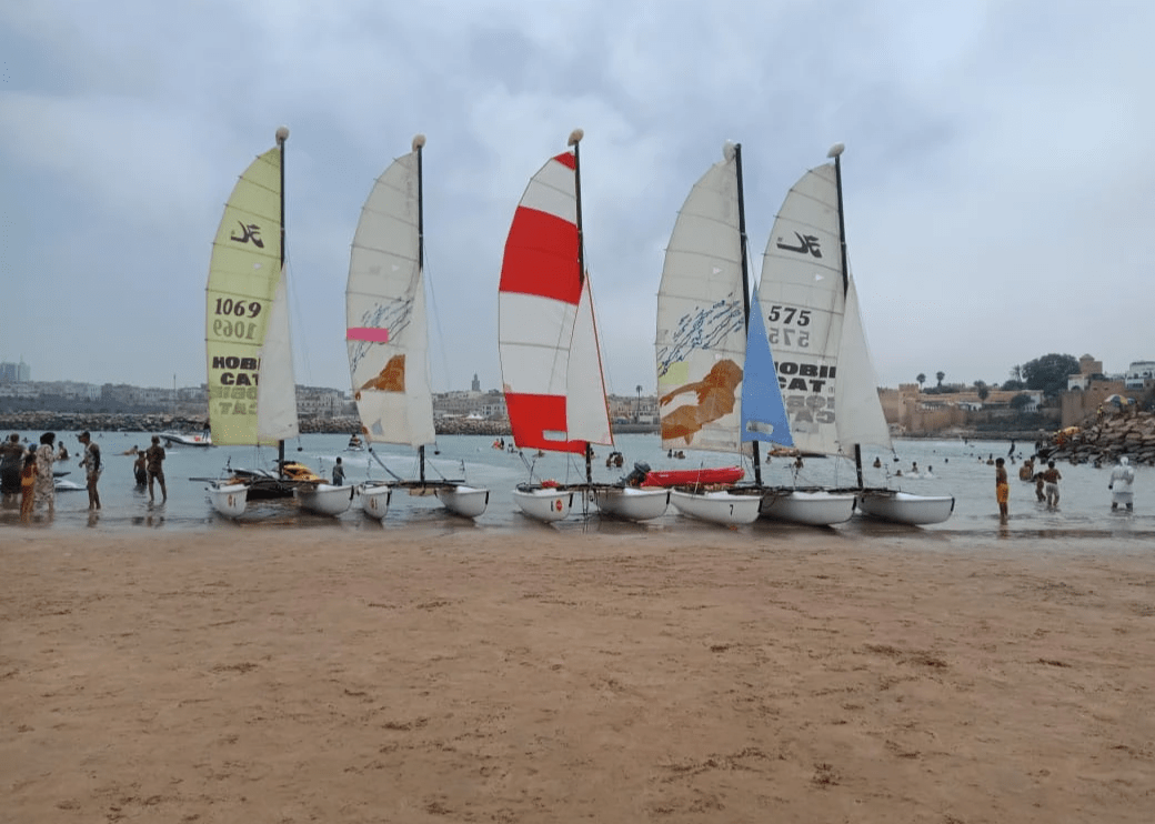Flotte de catamarans sur la plage
